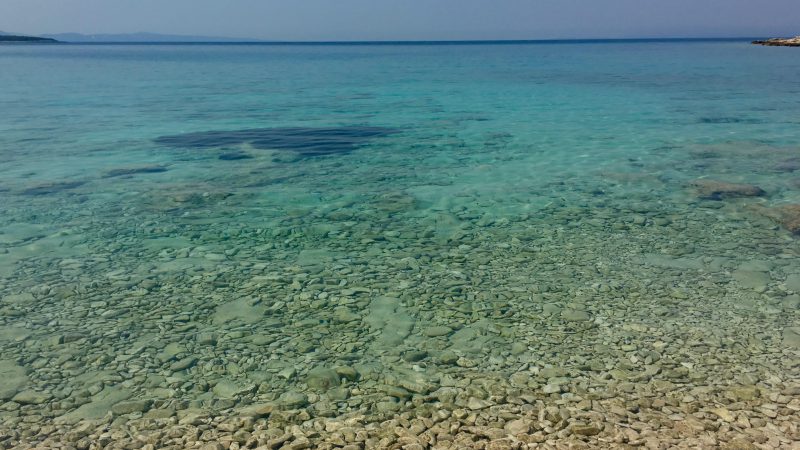 Modra rijeka, Odiseja 2015