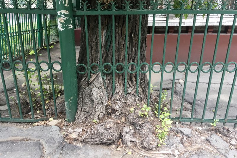 Ako je kog i kojeg, zašto nije tog i tojeg?