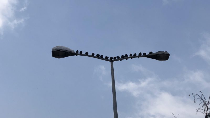 BiH – kakva država, takvo i obrazovanje