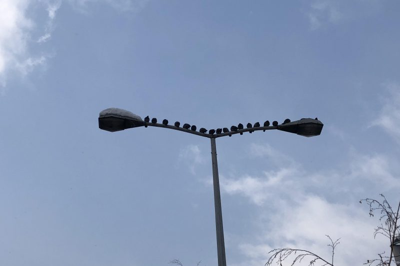 BiH – kakva država, takvo i obrazovanje